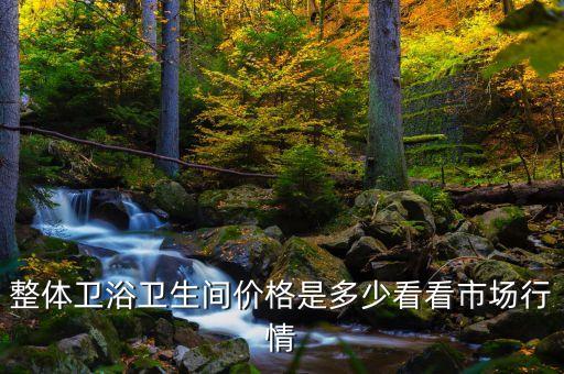 整體衛(wèi)浴衛(wèi)生間價(jià)格是多少看看市場(chǎng)行情