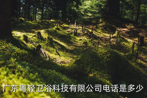廣東粵輕衛(wèi)浴科技有限公司電話是多少