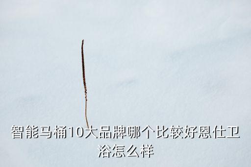 智能馬桶10大品牌哪個比較好恩仕衛(wèi)浴怎么樣