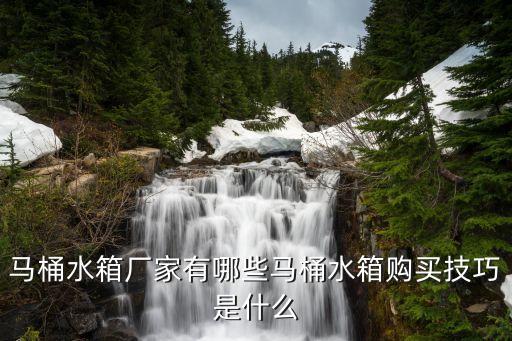 馬桶水箱廠家有哪些馬桶水箱購買技巧是什么