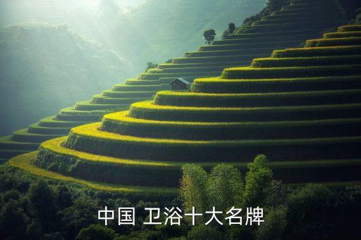 中國 衛(wèi)浴十大名牌