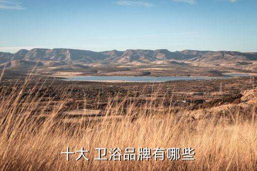 日系衛(wèi)浴五件套品牌排行