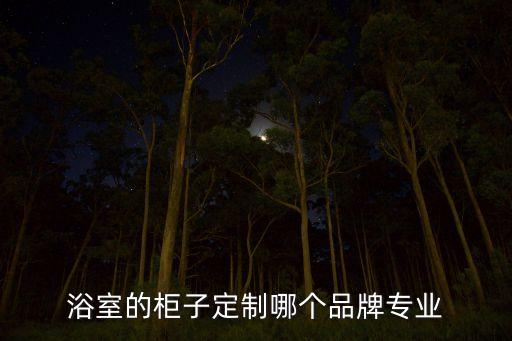 浴室的柜子定制哪個品牌專業(yè)