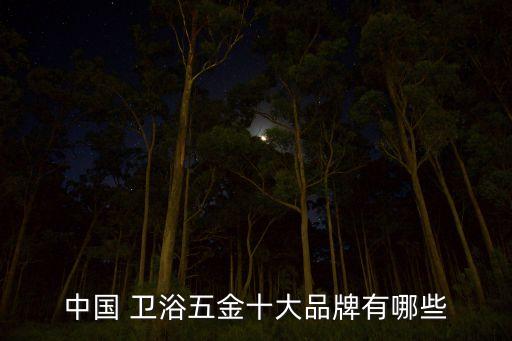 中國 衛(wèi)浴五金十大品牌有哪些