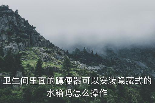 衛(wèi)生間里面的蹲便器可以安裝隱藏式的水箱嗎怎么操作