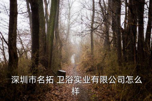  深圳市名拓 衛(wèi)浴實業(yè)有限公司怎么樣
