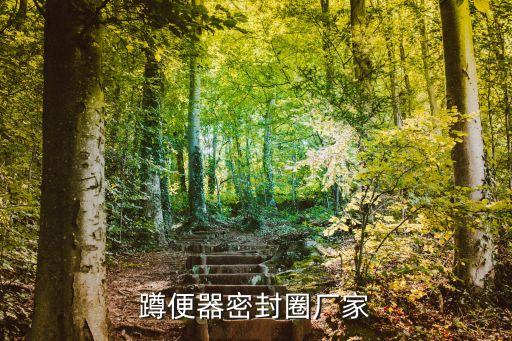 蹲便器密封圈廠家