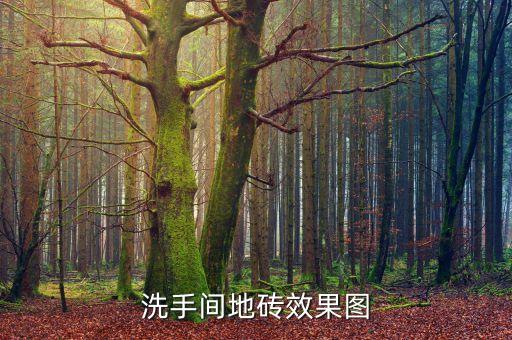 洗手間地磚效果圖