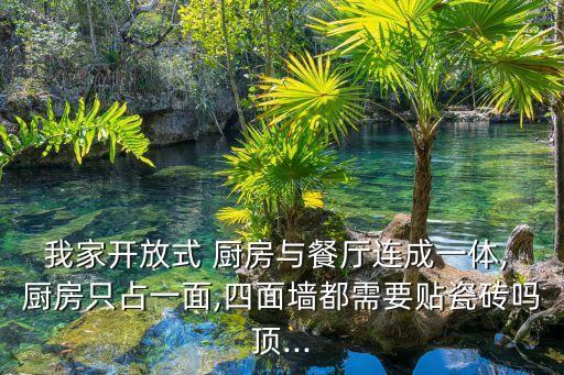 我家開放式 廚房與餐廳連成一體, 廚房只占一面,四面墻都需要貼瓷磚嗎頂...