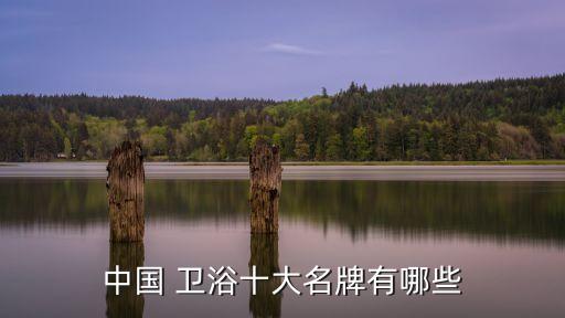 中國 衛(wèi)浴十大名牌有哪些