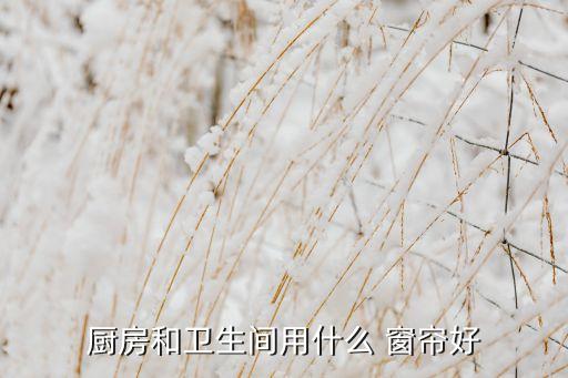 廚房和衛(wèi)生間用什么 窗簾好