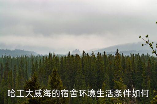哈工大威海的宿舍環(huán)境生活條件如何