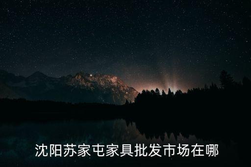  沈陽蘇家屯家具批發(fā)市場在哪