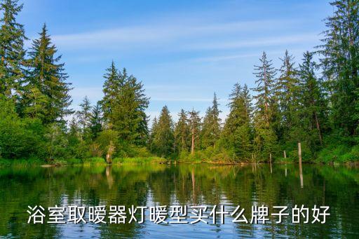 浴室取曖器燈暖型買什么牌子的好