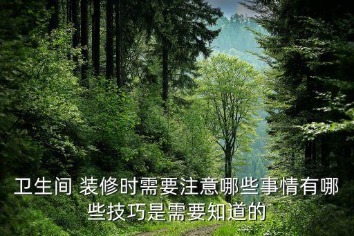 衛(wèi)生間 裝修時(shí)需要注意哪些事情有哪些技巧是需要知道的
