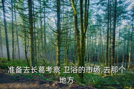 準(zhǔn)備去長(zhǎng)葛考察 衛(wèi)浴的市場(chǎng),去那個(gè)地方