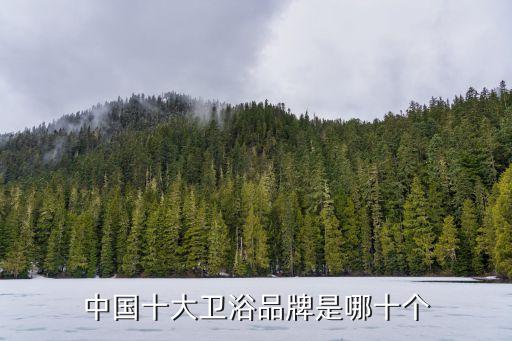 中國十大衛(wèi)浴品牌是哪十個