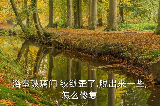 衛(wèi)浴門鉸鏈區(qū)別圖大全圖片