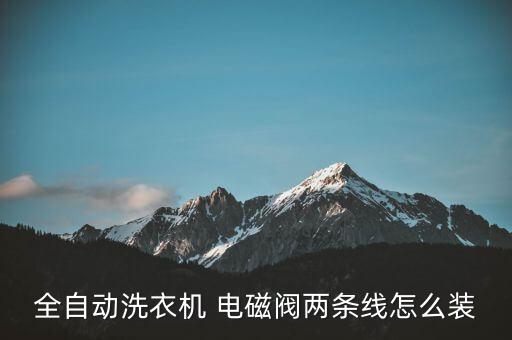 全自動(dòng)洗衣機(jī) 電磁閥兩條線怎么裝