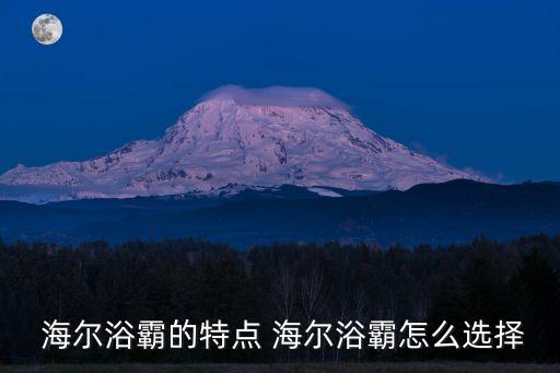 海爾衛(wèi)浴全景圖片大全,海爾智能衛(wèi)浴圖片