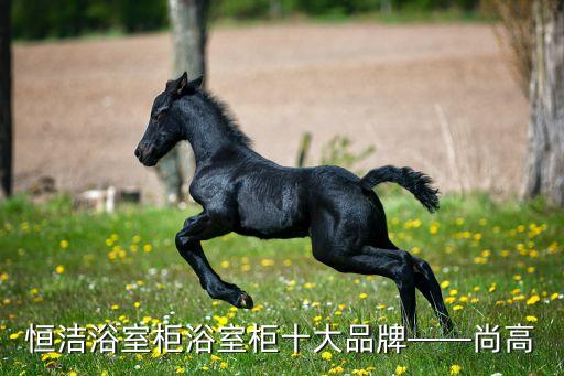 恒潔浴室柜浴室柜十大品牌——尚高