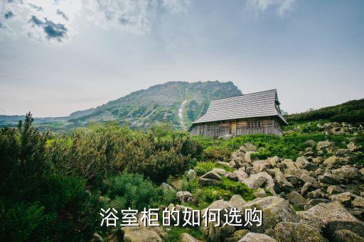 浴室柜的如何選購