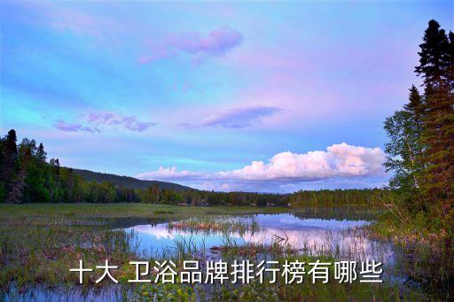 十大 衛(wèi)浴品牌排行榜有哪些