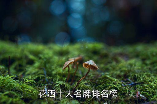 亞朵的衛(wèi)浴品牌怎么樣,艾尚衛(wèi)浴是品牌嗎怎么樣