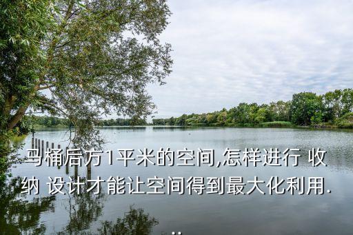 馬桶后方1平米的空間,怎樣進(jìn)行 收納 設(shè)計(jì)才能讓空間得到最大化利用...