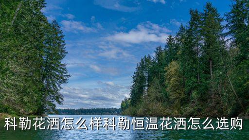 科勒衛(wèi)浴一線品牌價(jià)格表