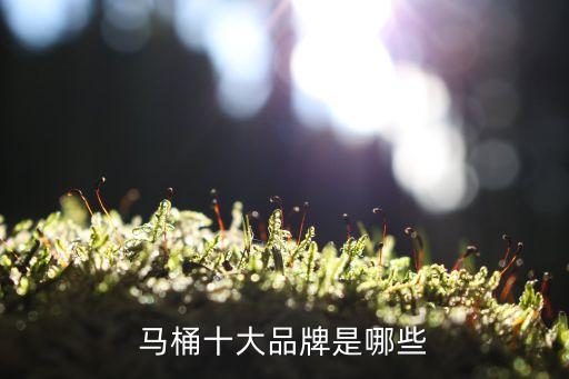 全國衛(wèi)浴10大品牌坐便器排名,偷偷品牌的衛(wèi)浴坐便器