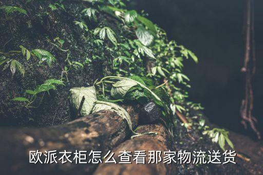  歐派衣柜怎么查看那家物流送貨