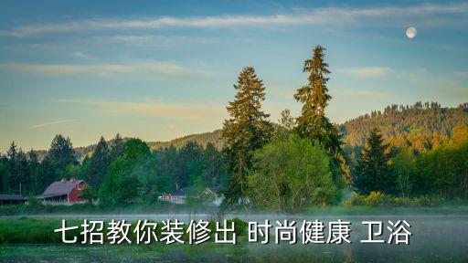 時(shí)尚衛(wèi)浴品牌推廣設(shè)計(jì)方案