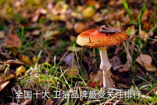 民族衛(wèi)浴品牌第一名是誰,衛(wèi)浴品牌排行榜第一名