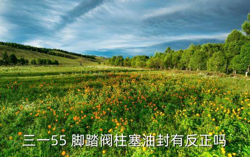 三一55 腳踏閥柱塞油封有反正嗎