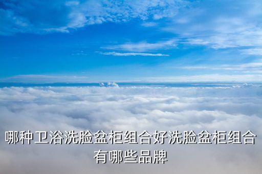 衛(wèi)浴盆最新款圖片價(jià)格大全