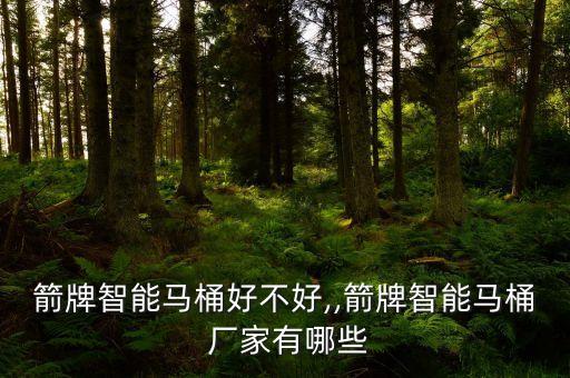 箭牌智能馬桶好不好,,箭牌智能馬桶 廠家有哪些