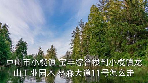 中山市小欖鎮(zhèn) 寶豐綜合樓到小欖鎮(zhèn)龍山工業(yè)園木 林森大道11號怎么走
