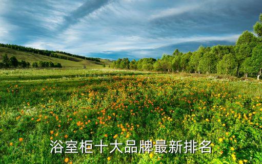浴室柜十大品牌最新排名