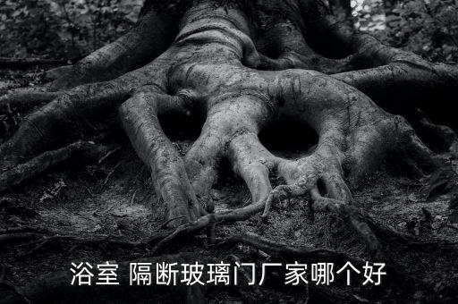 浴室 隔斷玻璃門廠家哪個好