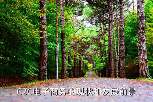C2C電子商務(wù)的現(xiàn)狀和發(fā)展前景