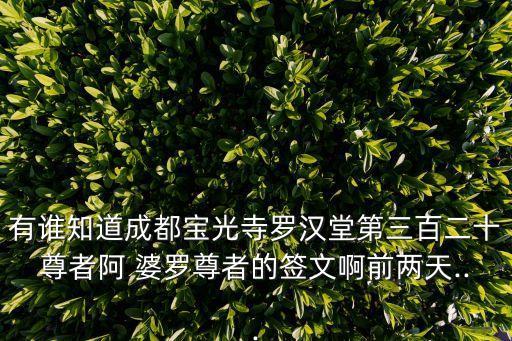 有誰知道成都寶光寺羅漢堂第三百二十尊者阿 婆羅尊者的簽文啊前兩天...