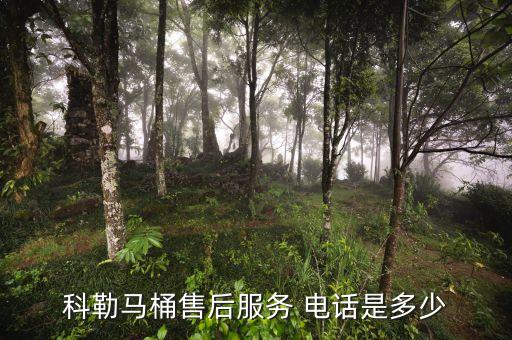 佳木斯市衛(wèi)浴電話多少啊,九牧王衛(wèi)浴電話是多少?