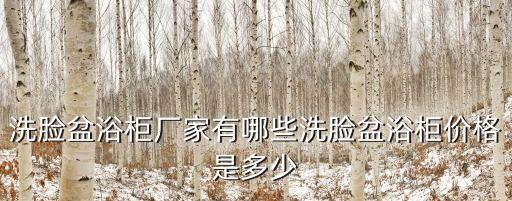 洗臉盆浴柜廠家有哪些洗臉盆浴柜價(jià)格是多少