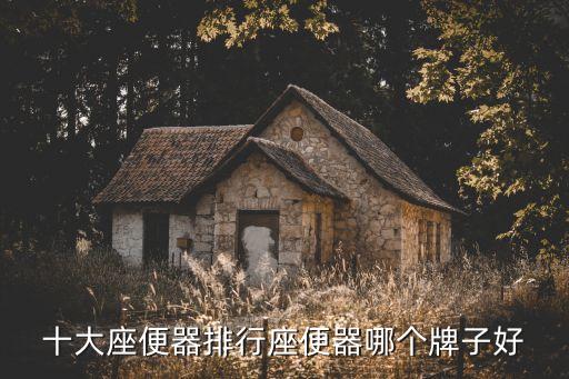 國外大品牌衛(wèi)浴馬桶,潮州衛(wèi)浴廠家推薦之馬桶品牌