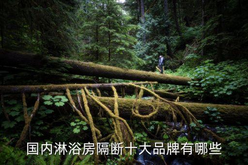 國內淋浴房隔斷十大品牌有哪些