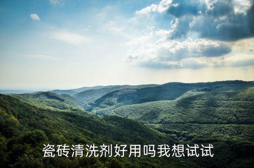  瓷磚清洗劑好用嗎我想試試