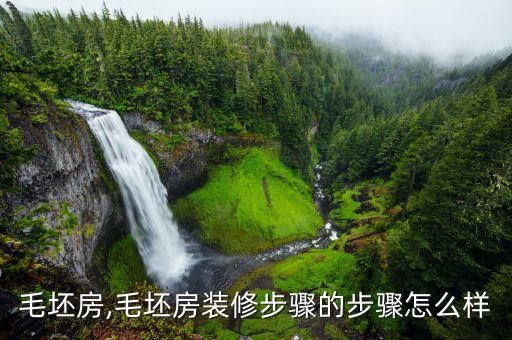 毛坯房,毛坯房裝修步驟的步驟怎么樣