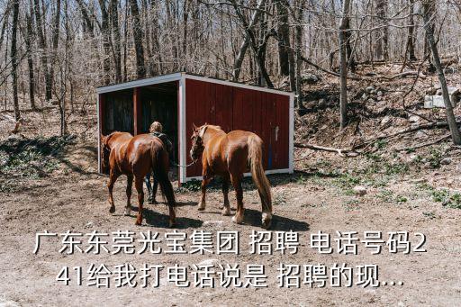 廣東東莞光寶集團(tuán) 招聘 電話號碼241給我打電話說是 招聘的現(xiàn)...