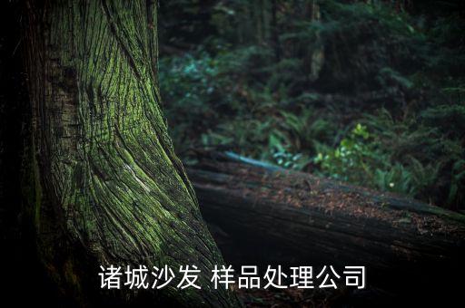 諸城沙發(fā) 樣品處理公司